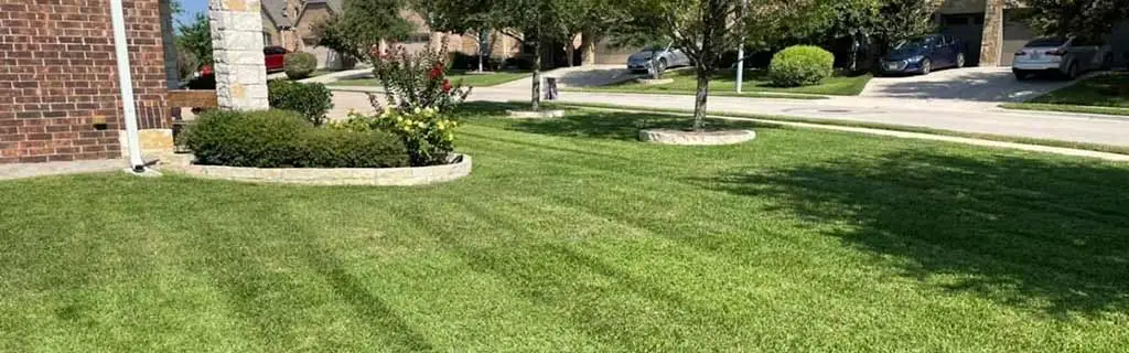 A home in East Austin, TX with a healthy, green lawn.